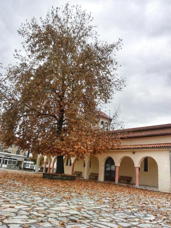Holiday home Village House Grevena
